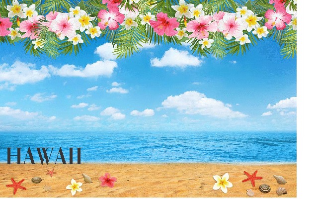 party-theme--hawaii